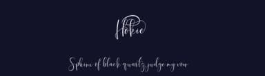 Hokie by Gilar Studio — Script Handwritten Font — thumbnail 2
