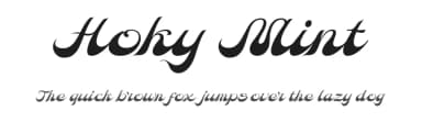 Hoky Mint by Alit Design — Script Handwritten Font — thumbnail 1