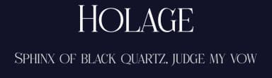 Holage by Storytype Studio — Serif Font — thumbnail 2