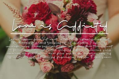 Hole Script Font by Gumacreative — Script Handwritten Font — thumbnail 2