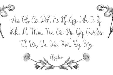 Holga Font by Noe Araujo — Script Handwritten Font — thumbnail 2