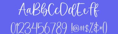 Holidate by Ramli Setiadi — Script Handwritten Font — thumbnail 3