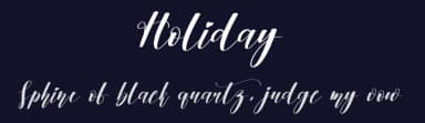 Holiday by Scratchones — Script Handwritten Font — thumbnail 2
