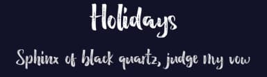 Holidays by Debut Studio — Script Handwritten Font — thumbnail 2