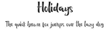 Holidays by Debut Studio — Script Handwritten Font — thumbnail 1