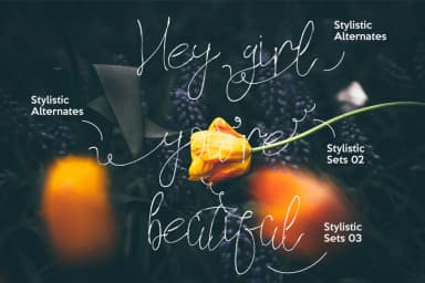 Hollidays Font by Ajir — Script Handwritten Font — thumbnail 5