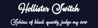 Hollister Switch by Octotype  | Thomas Boucherie — Script Handwritten Font — thumbnail 2