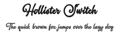 Hollister Switch by Octotype  | Thomas Boucherie — Script Handwritten Font — thumbnail 1