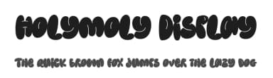 Holymoly Display by Typetemp Studio — Script Handwritten Font — thumbnail 1