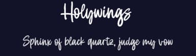 Holywings by Fargun Studio — Script Handwritten Font — thumbnail 2