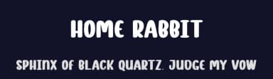 Home Rabbit by Andi Moz — Script Handwritten Font — thumbnail 2