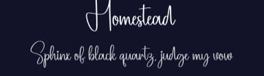 Homestead by Scratchones — Script Handwritten Font — thumbnail 2