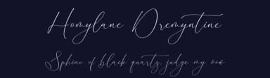 Homylane Dremyntine by Storytype Studio — Script Handwritten Font — thumbnail 2