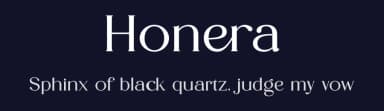 Honera by ToniStudio — Serif Font — thumbnail 2