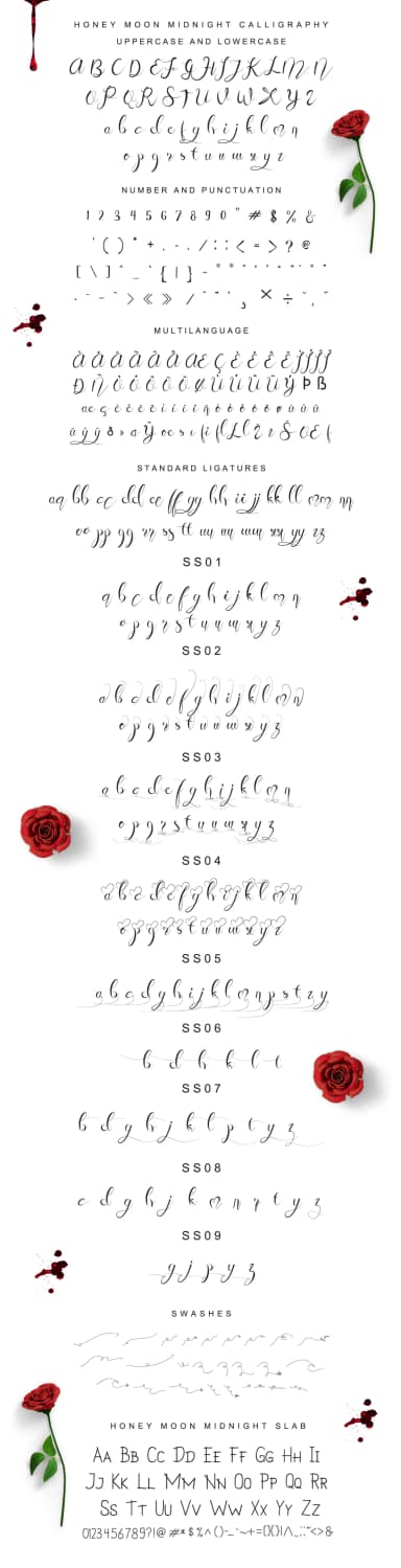 Honey Moon Midnight Font by feydesign — Script Handwritten Font — thumbnail 3