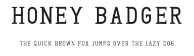 Honey Badger by Zac Neulieb — Serif Font — thumbnail 1