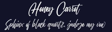Honey Carrot by Topan Sofyan — Script Handwritten Font — thumbnail 2
