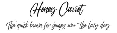 Honey Carrot by Topan Sofyan — Script Handwritten Font — thumbnail 1