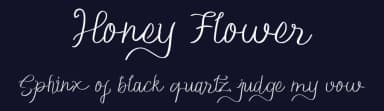 Honey Flower by MJB Letters — Script Handwritten Font — thumbnail 2