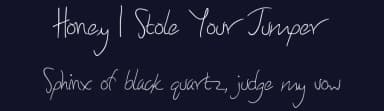 Honey I Stole Your Jumper by James Shields — Script Handwritten Font — thumbnail 2
