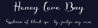 Honey Love Bunny by Letterafa Studio — Script Handwritten Font — thumbnail 2