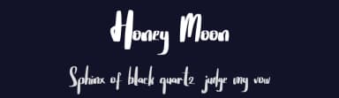 Honey Moon by Vunira Design — Script Handwritten Font — thumbnail 2