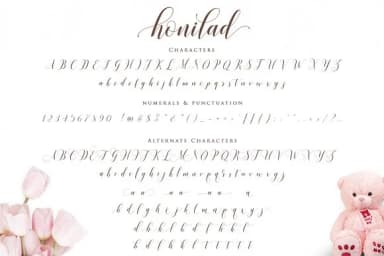 Honilad Font by barland — Script Handwritten Font — thumbnail 10
