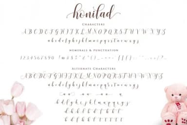 Honilad Font by barland — Script Handwritten Font — thumbnail 9