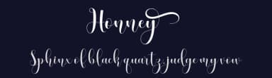 Honney by Gilar Studio — Script Handwritten Font — thumbnail 2