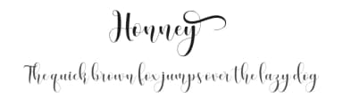 Honney by Gilar Studio — Script Handwritten Font — thumbnail 1