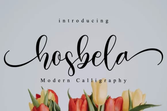 Hosbela Script Font by NissaStudio — Script Handwritten Font