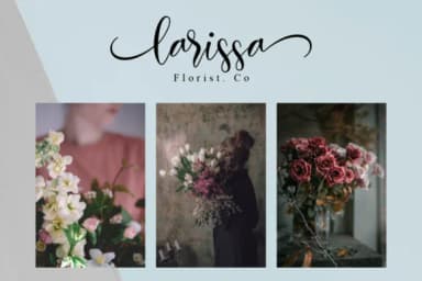 Hosbela Script Font by NissaStudio — Script Handwritten Font — thumbnail 5