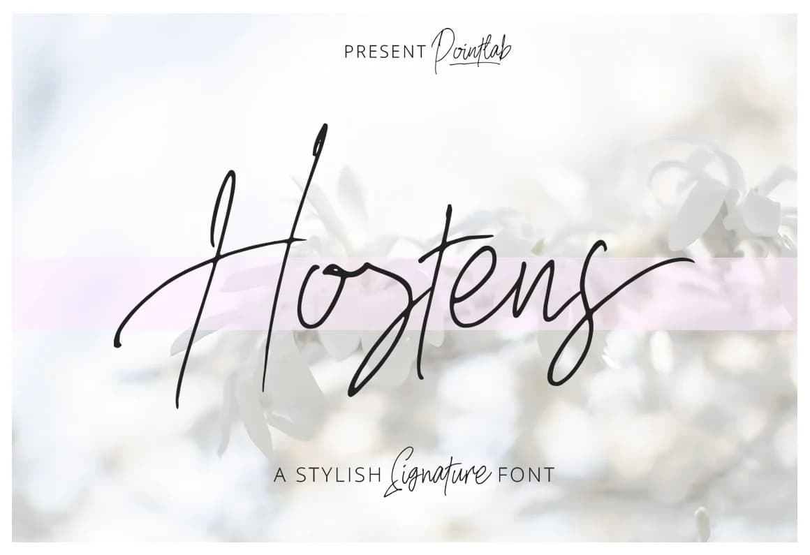 Hostens Signature Font by PointLab — Script Handwritten Font