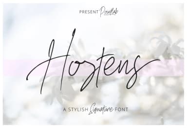 Hostens Signature Font by PointLab — Script Handwritten Font — thumbnail 1