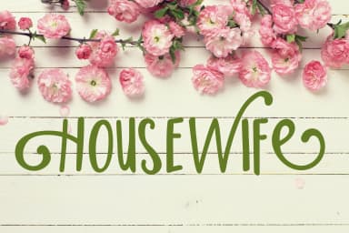 Housewife Font by Illustration Ink — Script Handwritten Font — thumbnail 2