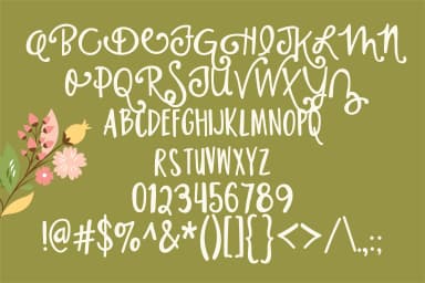 Housewife Font by Illustration Ink — Script Handwritten Font — thumbnail 3