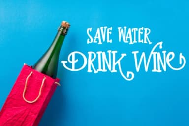 Housewine Font by Illustration Ink — Script Handwritten Font — thumbnail 5