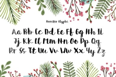 Houster Font by Graphicfresh — Script Handwritten Font — thumbnail 2