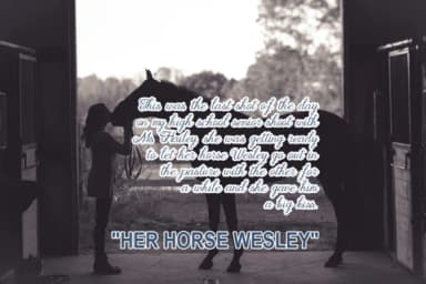 Houston Font by leparte studio — Script Handwritten Font — thumbnail 5