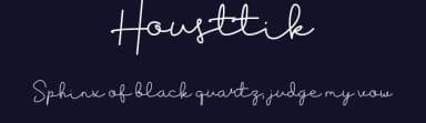 Housttik by StudioAKTYPE — Script Handwritten Font — thumbnail 2