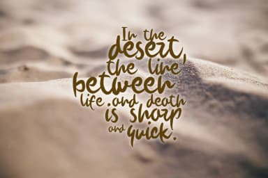 Howie Font by SmartDesigns — Script Handwritten Font — thumbnail 5