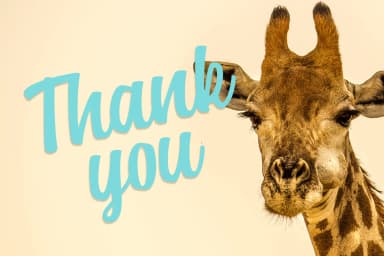 Hudson Font by Pasha Larin — Script Handwritten Font — thumbnail 9