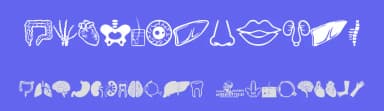 Human Anatomy by Woodcutter — Dingbats Font — thumbnail 3