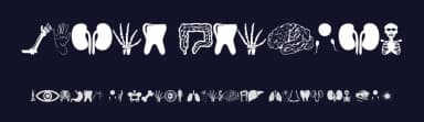 Human Anatomy by Woodcutter — Dingbats Font — thumbnail 2