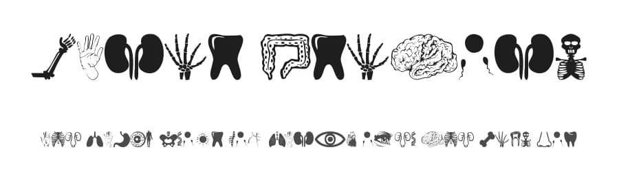 Human Anatomy by Woodcutter — Dingbats Font