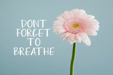 Humayra Font by zuzulgo studio — Script Handwritten Font — thumbnail 3