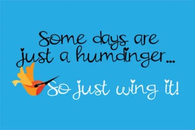 Hummingbird Font by Illustration Ink — Script Handwritten Font — thumbnail 4