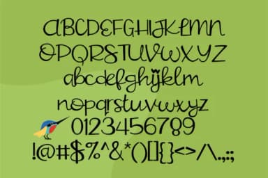 Hummingbird Font by Illustration Ink — Script Handwritten Font — thumbnail 5