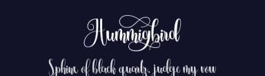 Hummingbird by FallenGraphic Studio — Script Handwritten Font — thumbnail 2