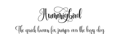Hummingbird by FallenGraphic Studio — Script Handwritten Font — thumbnail 1